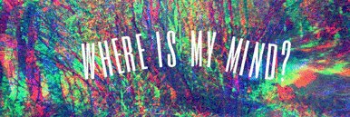 camilerajdra's profile banner image