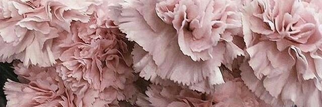 marta_gnzalez's profile banner image