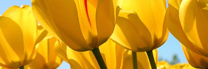 joanne1032's profile banner image
