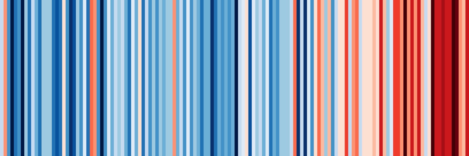 Tim Petterson banner