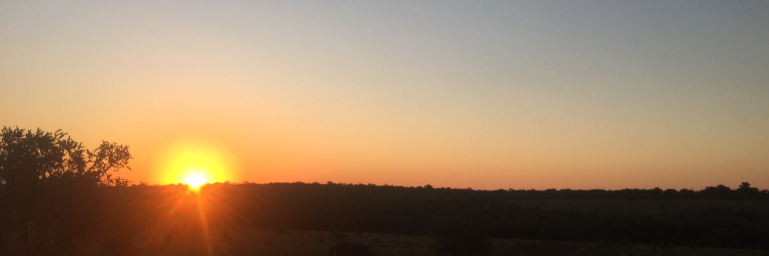 Ribdoc 🔌 ⚡ banner