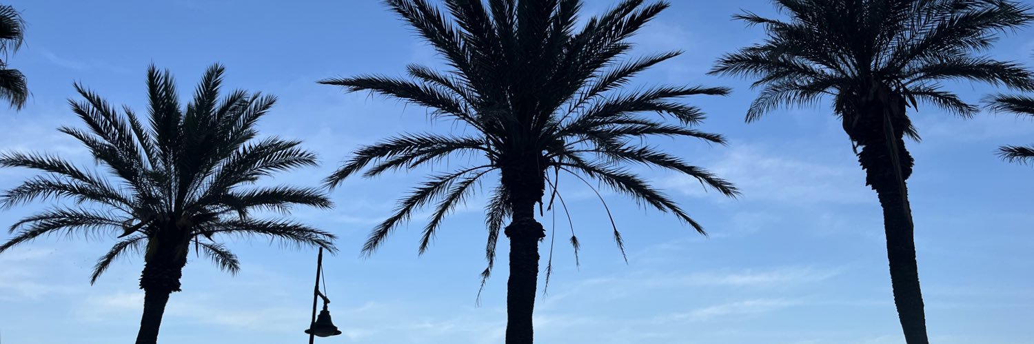 Maaaartikaaa's profile banner image