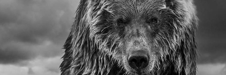 phil_osae's profile banner image