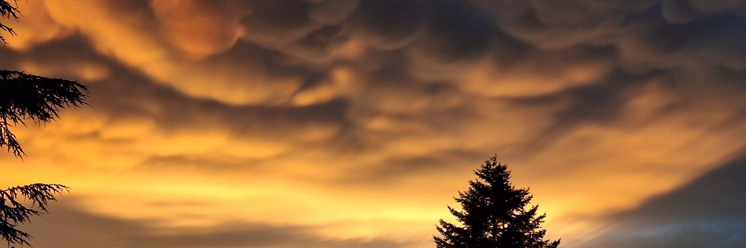 notsleeping71's profile banner image