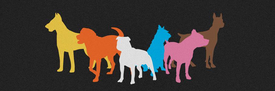JoshTorok1's profile banner image