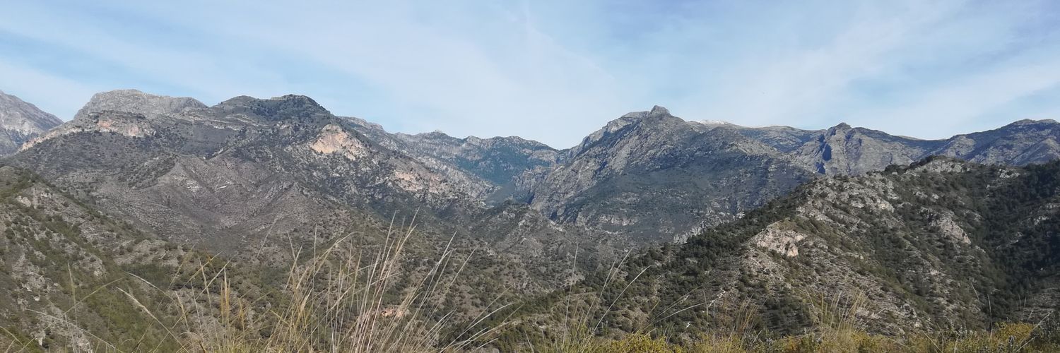 Pablomalaga_'s profile banner image