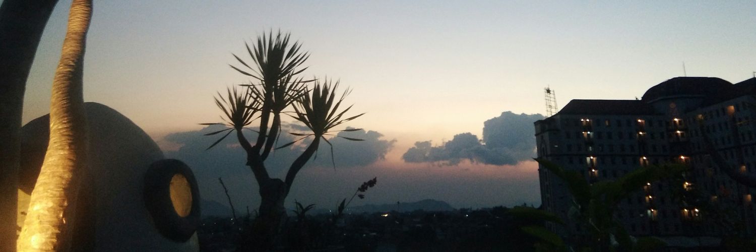 fiasfe_'s profile banner image