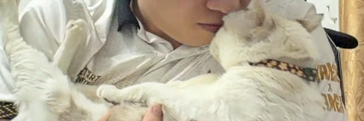 callmesarinz's profile banner image