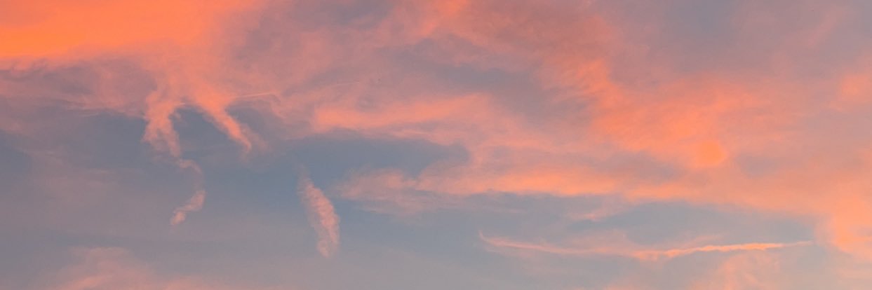 waaige's profile banner image