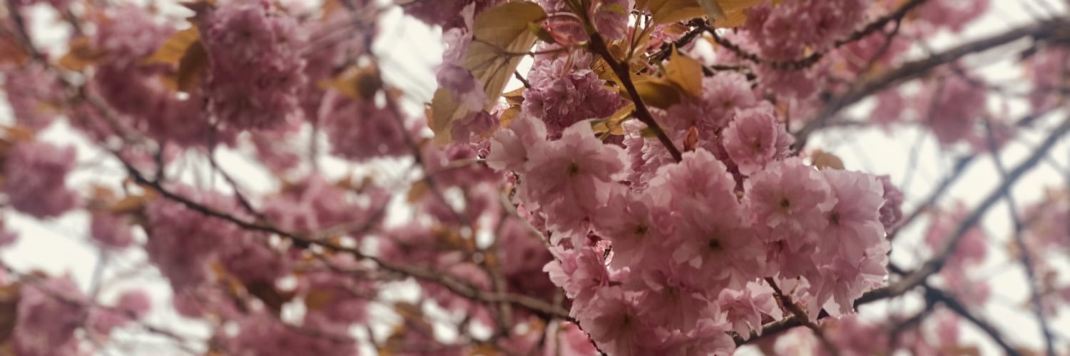 KrisM96's profile banner image