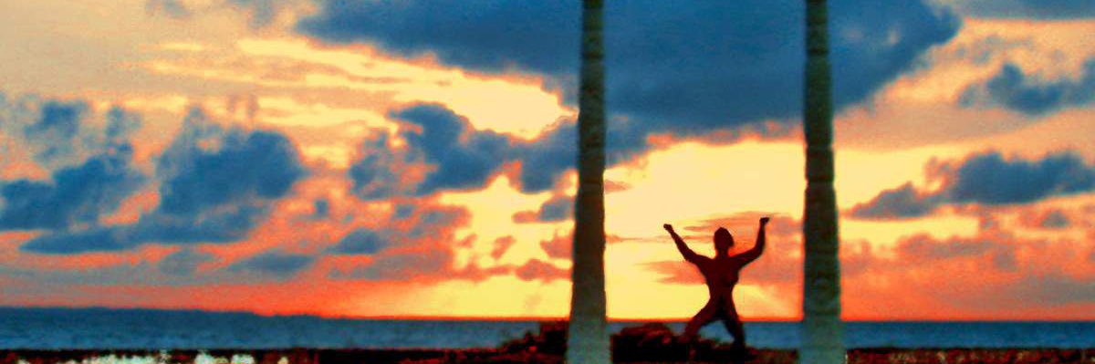 dea_noss's profile banner image