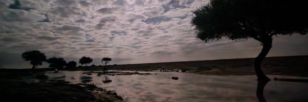 Hunaida Hlayhel banner