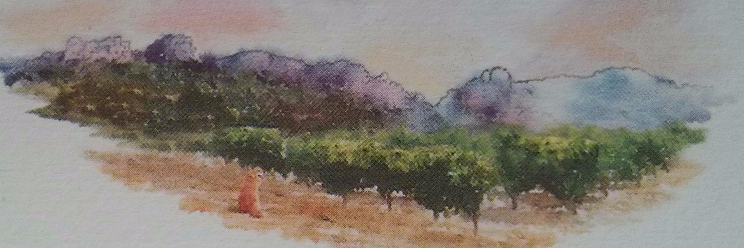 Barbarot BPLM banner