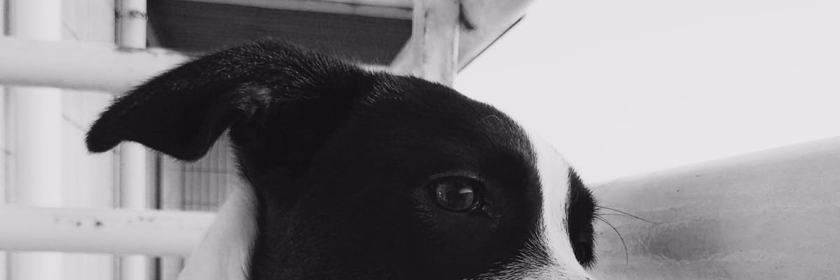 margaridaa98's profile banner image