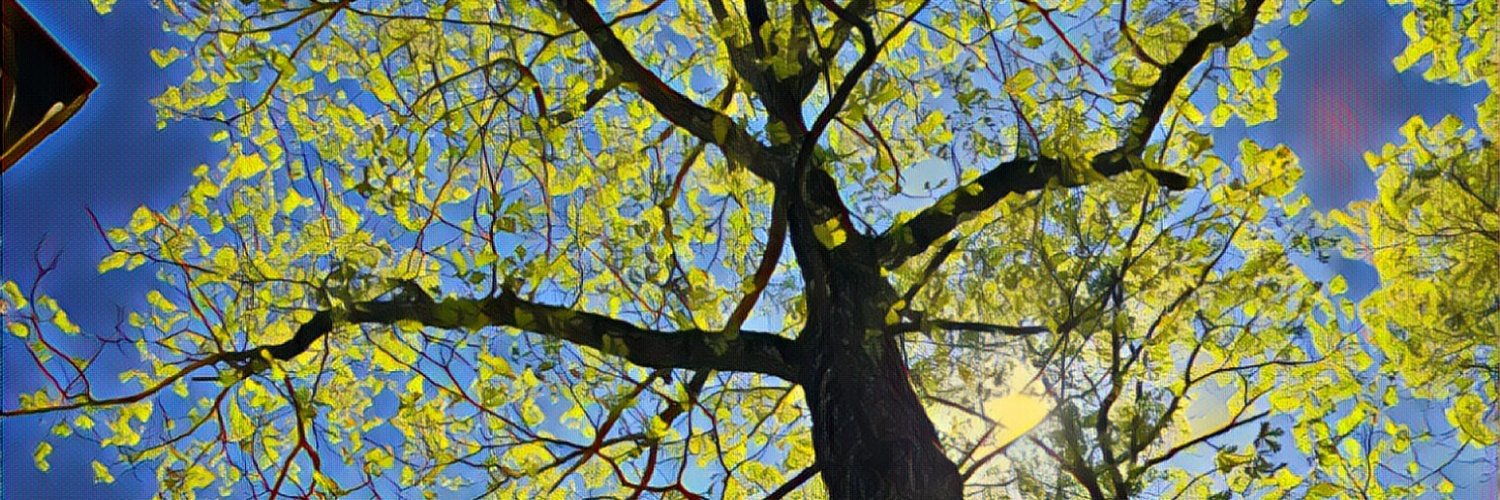 jeffMconn's profile banner image