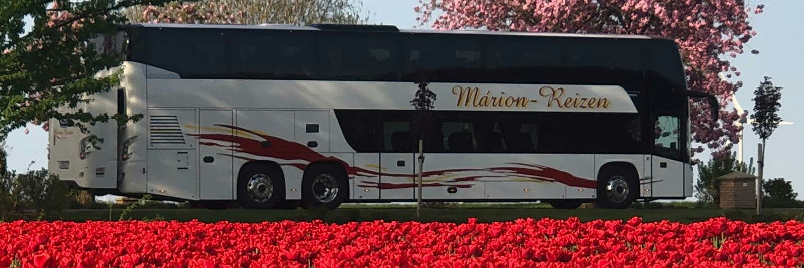Marion Reizen banner