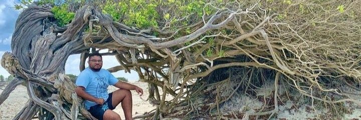 LuaDeSantana's profile banner image