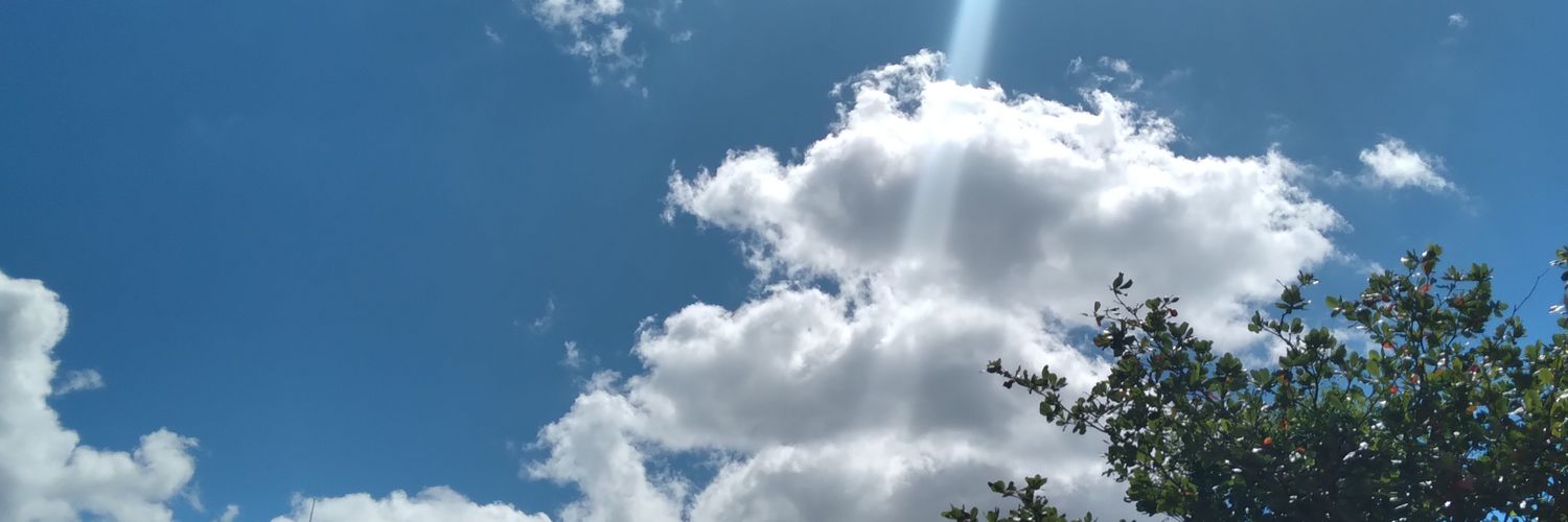 JorgeRodde's profile banner image
