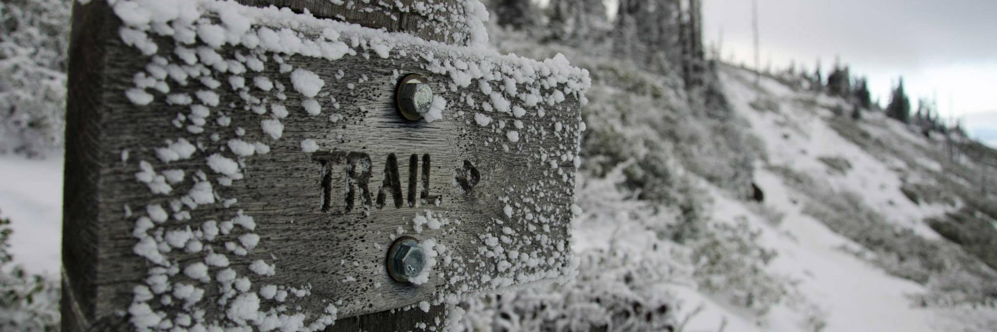 TrailMixed's profile banner image