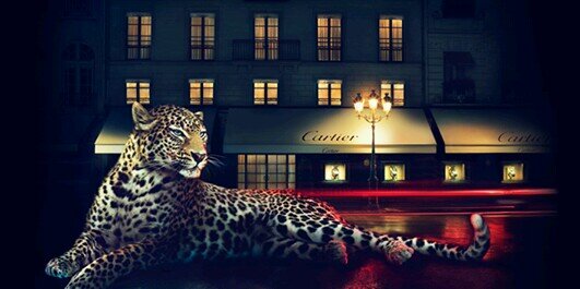 Badia_Ri's profile banner image