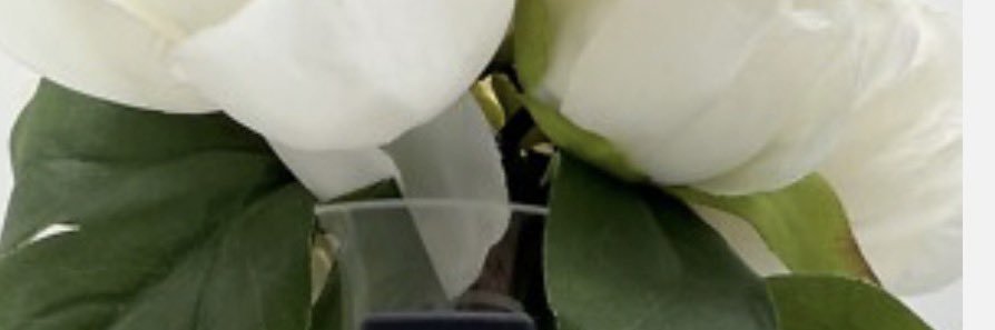 GEVA banner