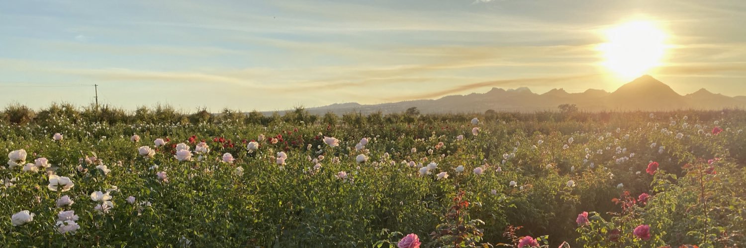 farmfinesse's profile banner image
