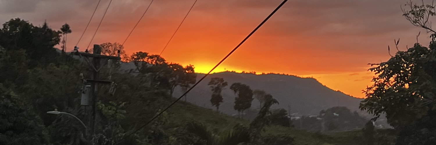 Joey Urameshi👹 banner