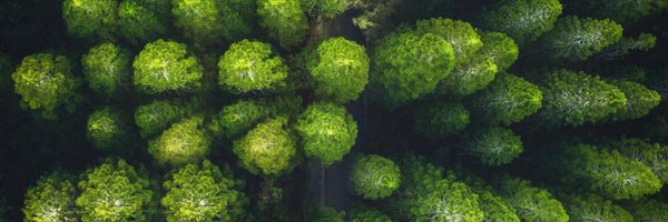 anradu Profile Banner