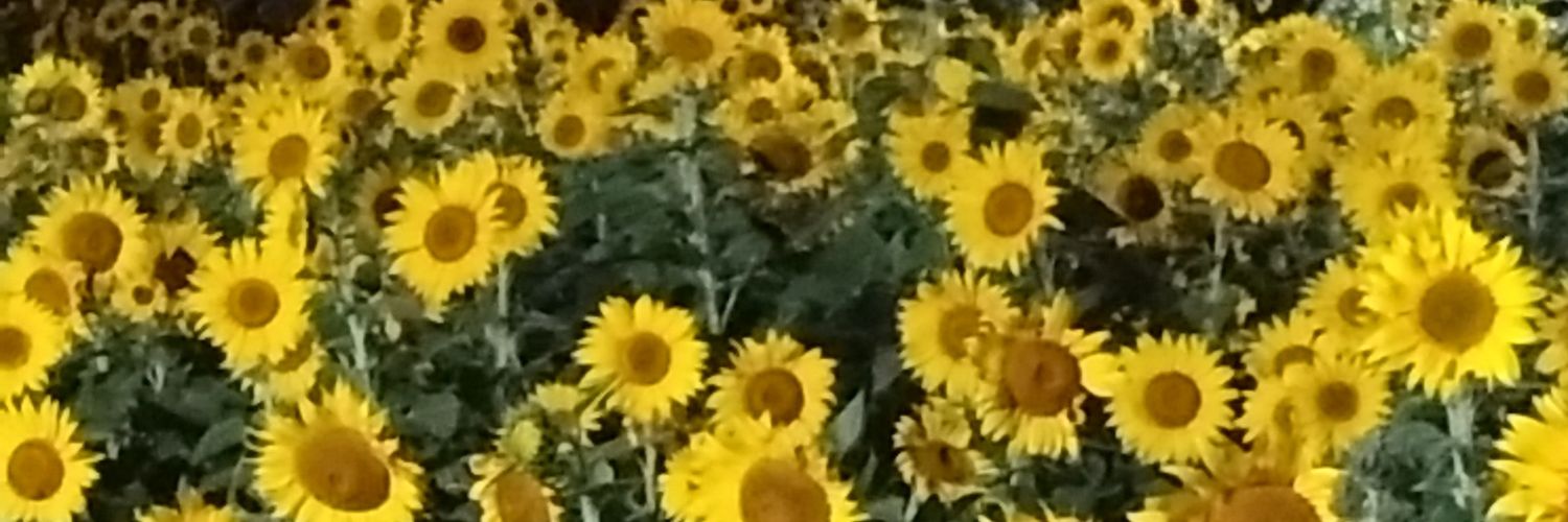 えんなちょ banner