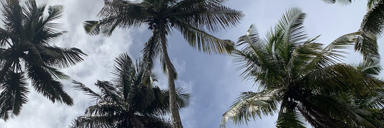 STANLEYTORVIC's profile banner image