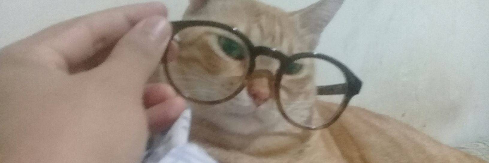 marceloserrao's profile banner image