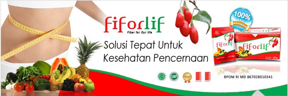 fiforlifsolo's profile banner image