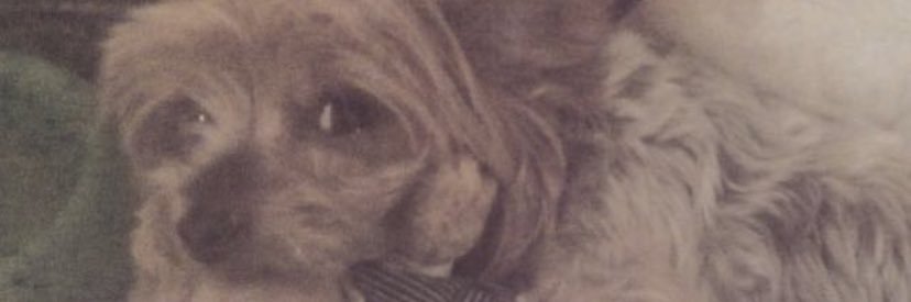 AngelilloTF's profile banner image