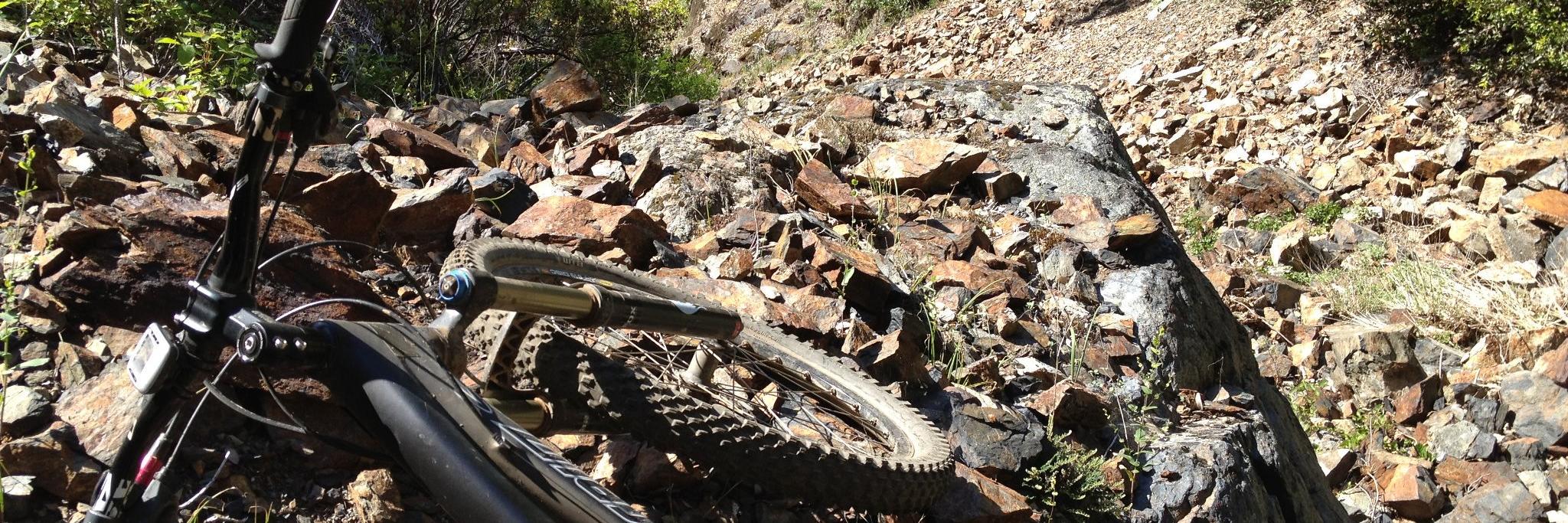 Steve Fong @swfong@sfba.social banner