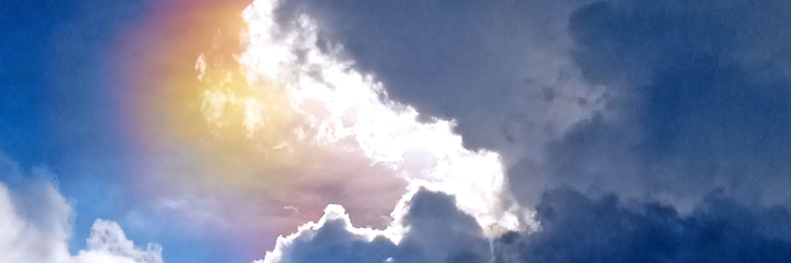 eladeco4ever's profile banner image