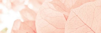 jessicabelda09's profile banner image