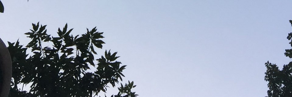 adinsptny's profile banner image