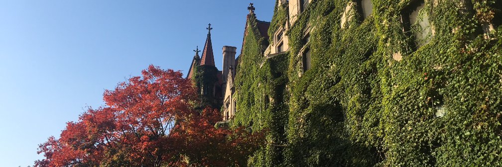 UChicago Social Sciences's banner