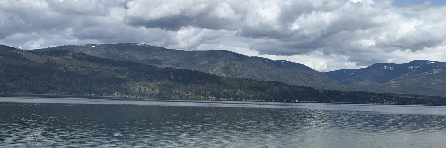 MelanieDLang's profile banner image