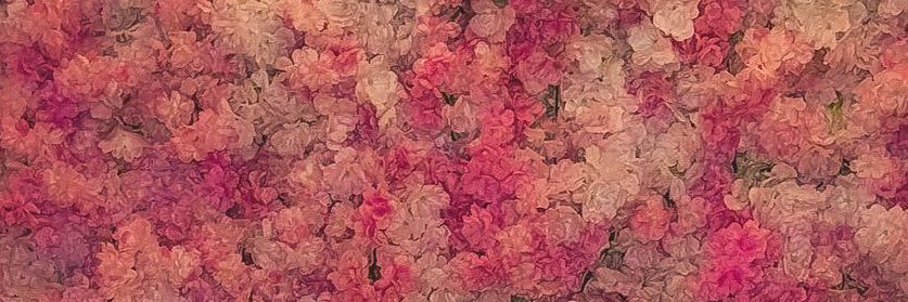 5douy's profile banner image