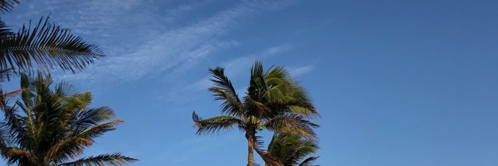 allyycat123's profile banner image