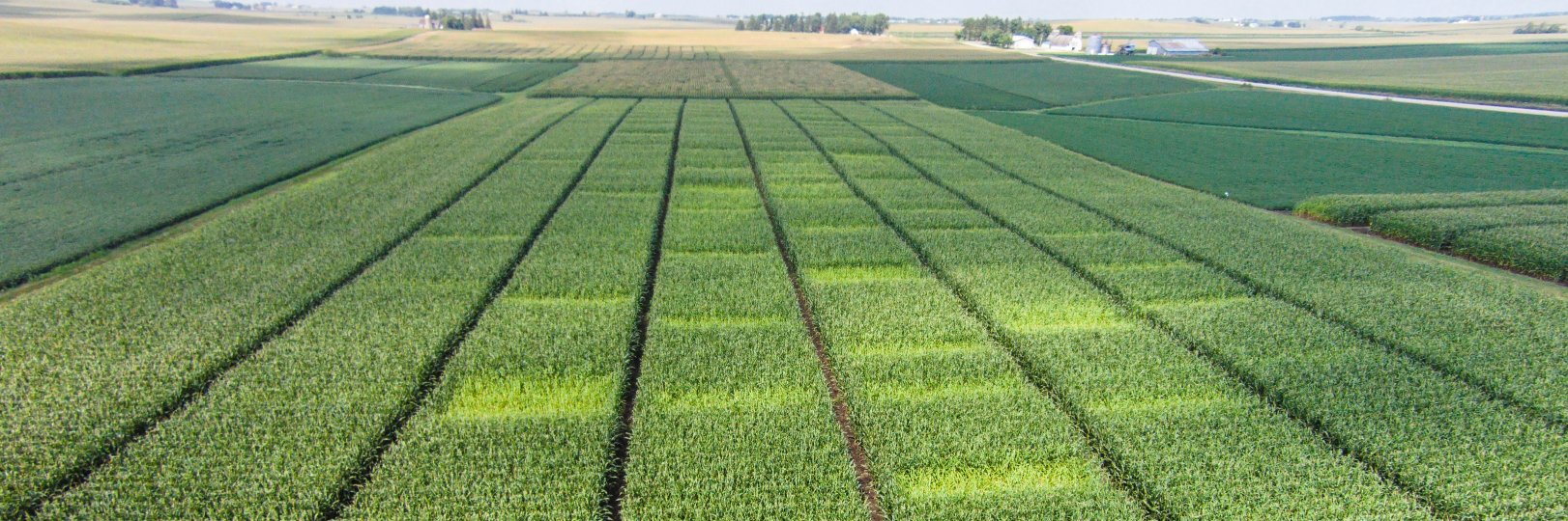 Carrie Laboski banner