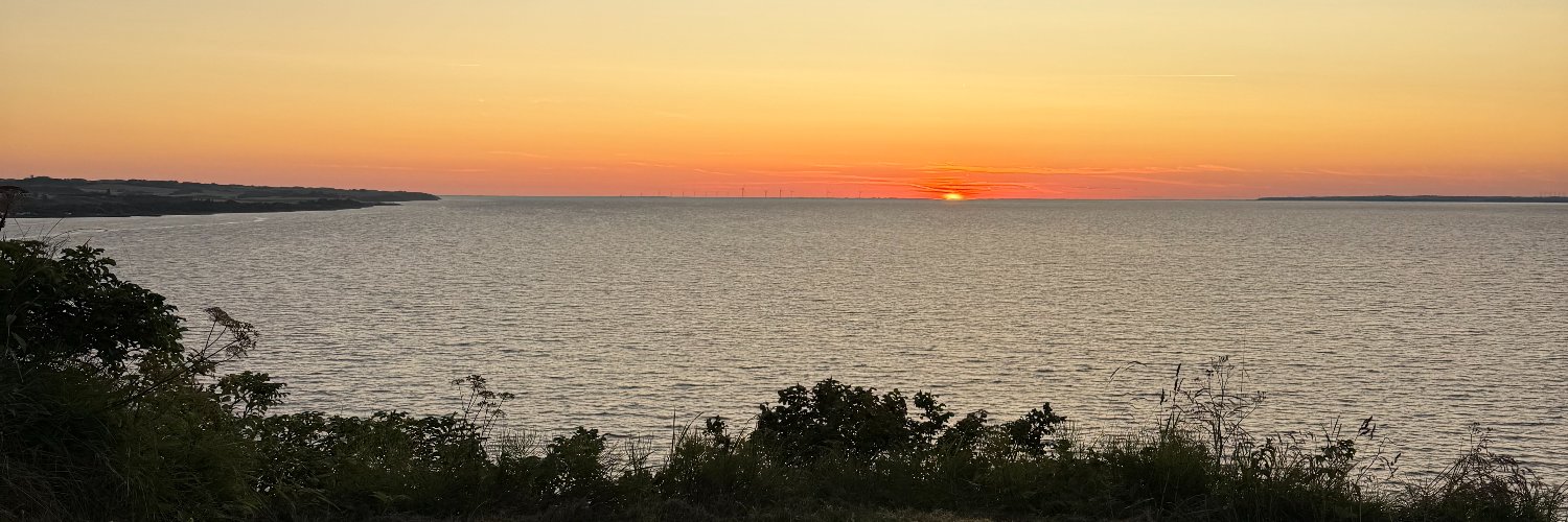 Lars Holdgaard banner