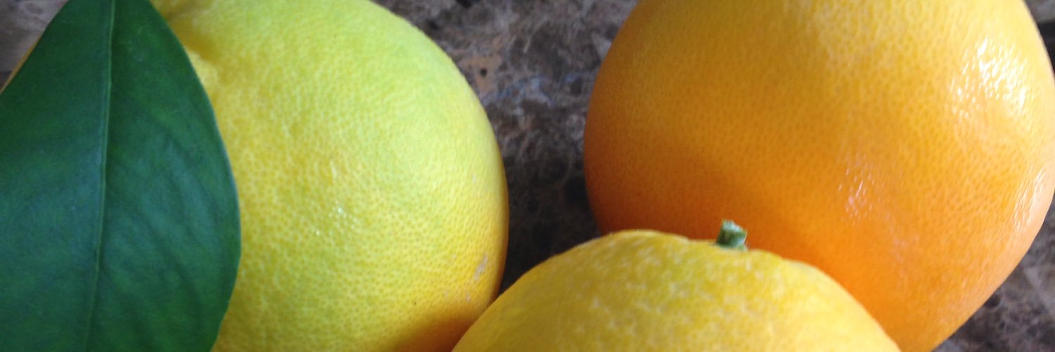 Audree Grubesic banner