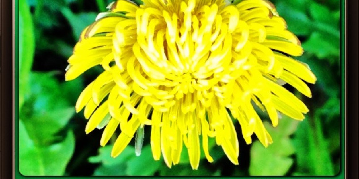 AsaulenkoAnna's profile banner image