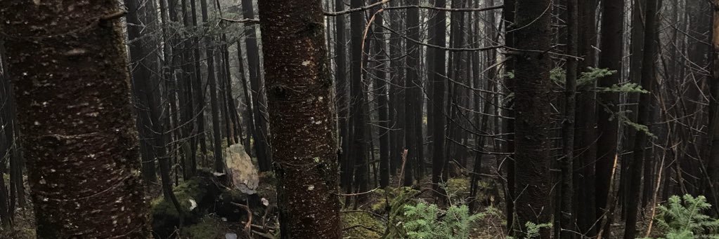 DBoyd_808's profile banner image