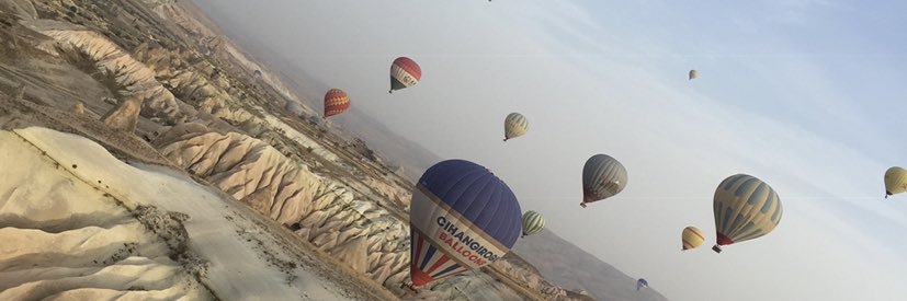Biacutait's profile banner image