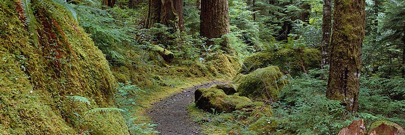 trailfit's profile banner image