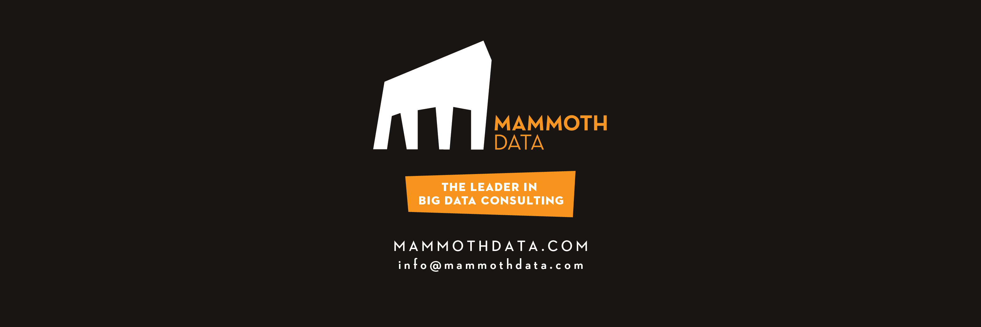 mammothdataco's profile banner image