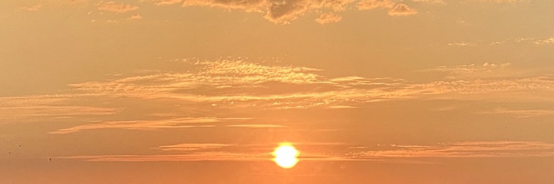 Anriikka Viik banner